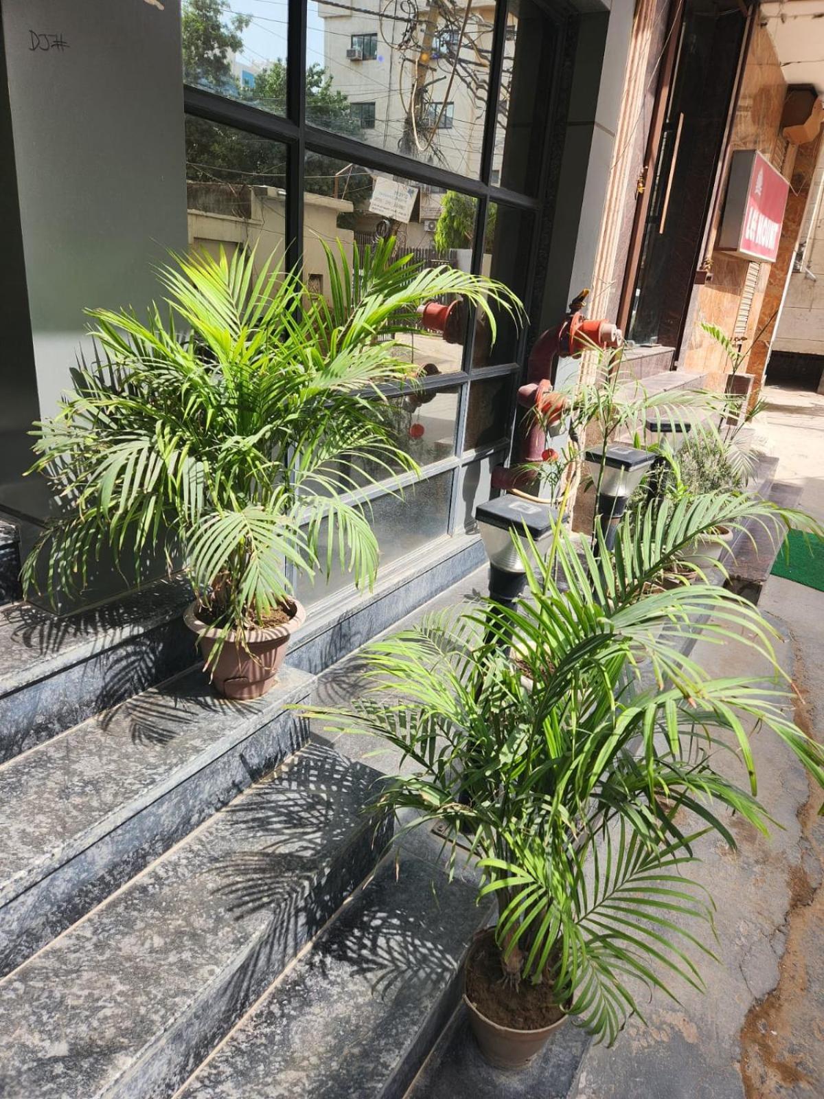 Hotel City Lite Near Igi Airport نيودلهي المظهر الخارجي الصورة